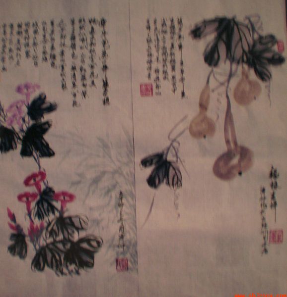P8164060.JPG